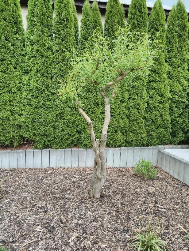 Ubytovani U Vrbicky - Blizko Prahy Unhošť Exterior foto